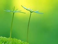 南寧市召開創(chuàng)國衛(wèi)先進單位及個人表彰大會