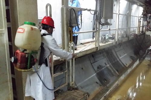 教你3個滅蟑螂最有效的方法!